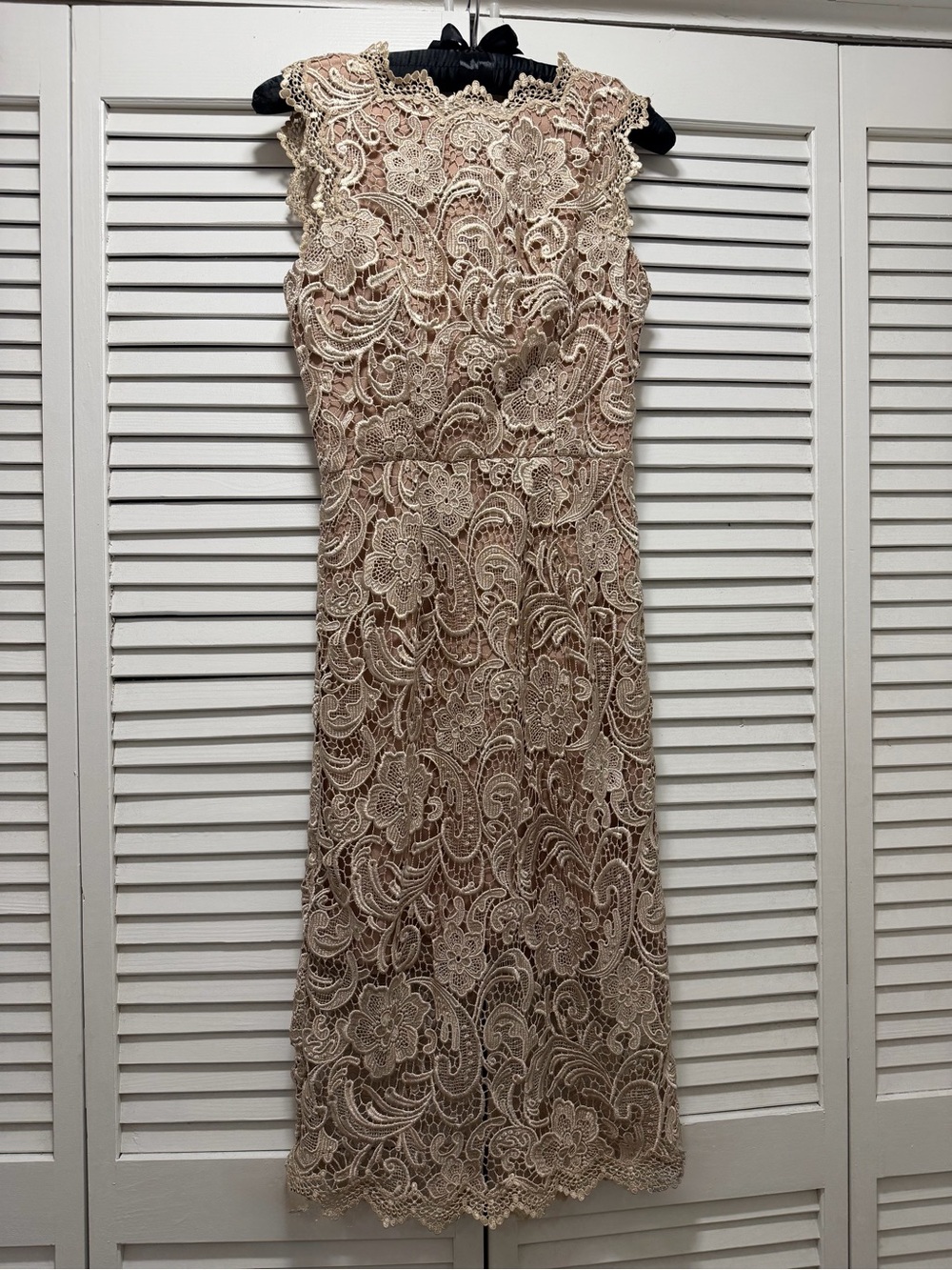 Dress the Population Beige Lace Midi Dress - Picture 6 of 16